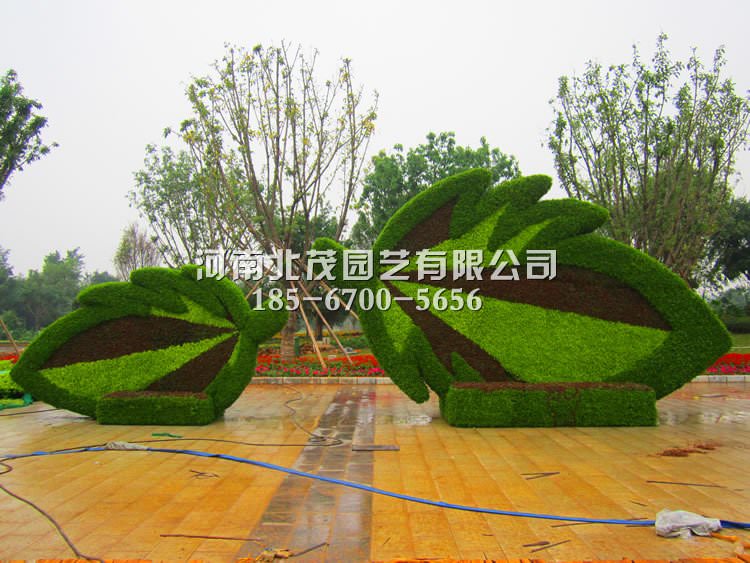 桂林园博园景观绿雕生态树叶