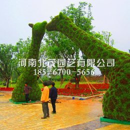 湖北植物绿雕长颈鹿