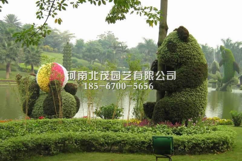 西安植物绿雕