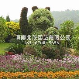 新乡植物绿雕