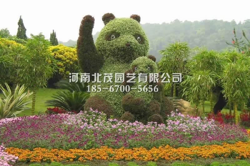 新乡植物绿雕