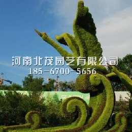 连云港植物绿雕