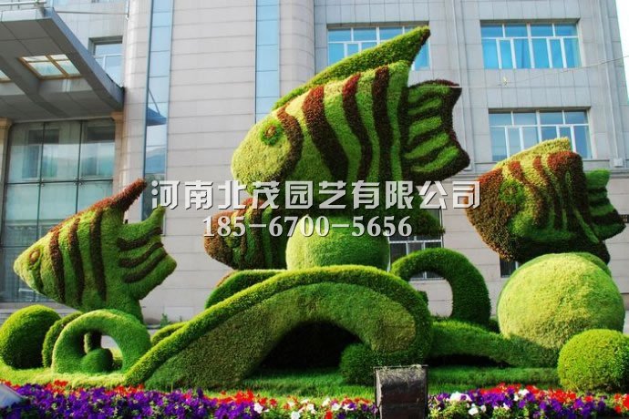 海南植物绿雕热带鱼