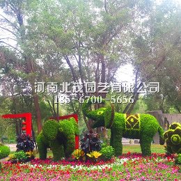 西双版纳植物绿雕大象造型