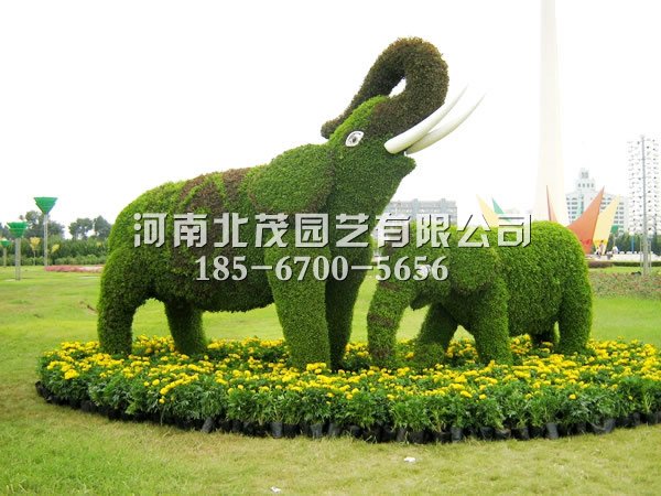 云南植物绿雕大象