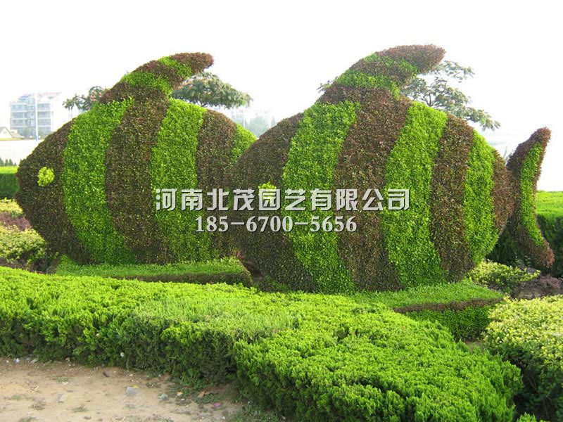 昆明植物绿雕双鱼