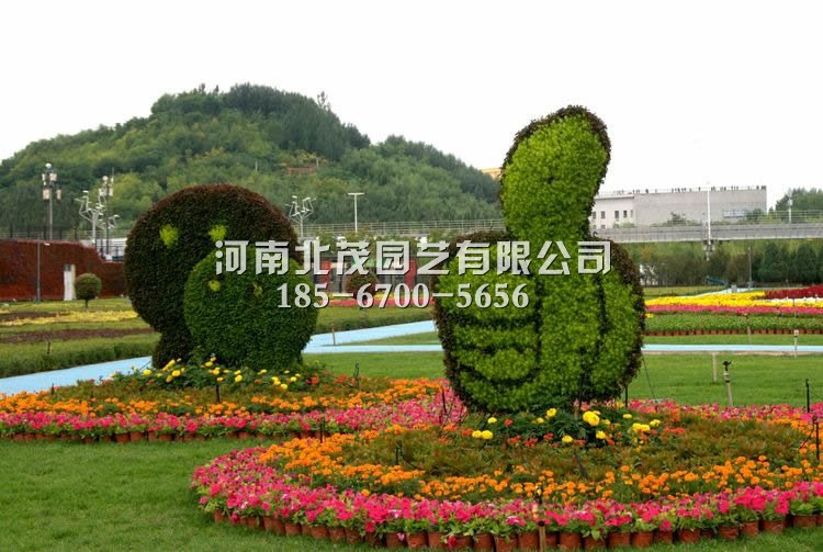 新乡辉县植物绿雕造型