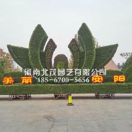 安阳植物绿雕造型