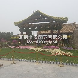 朱仙镇植物绿雕造型