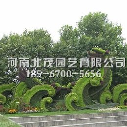 安化植物绿雕造型