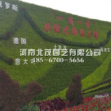 乌鲁木植物绿雕丝绸之路经济