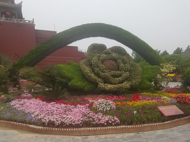 开封植物绿雕造型
