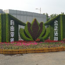 许昌植物绿雕造型